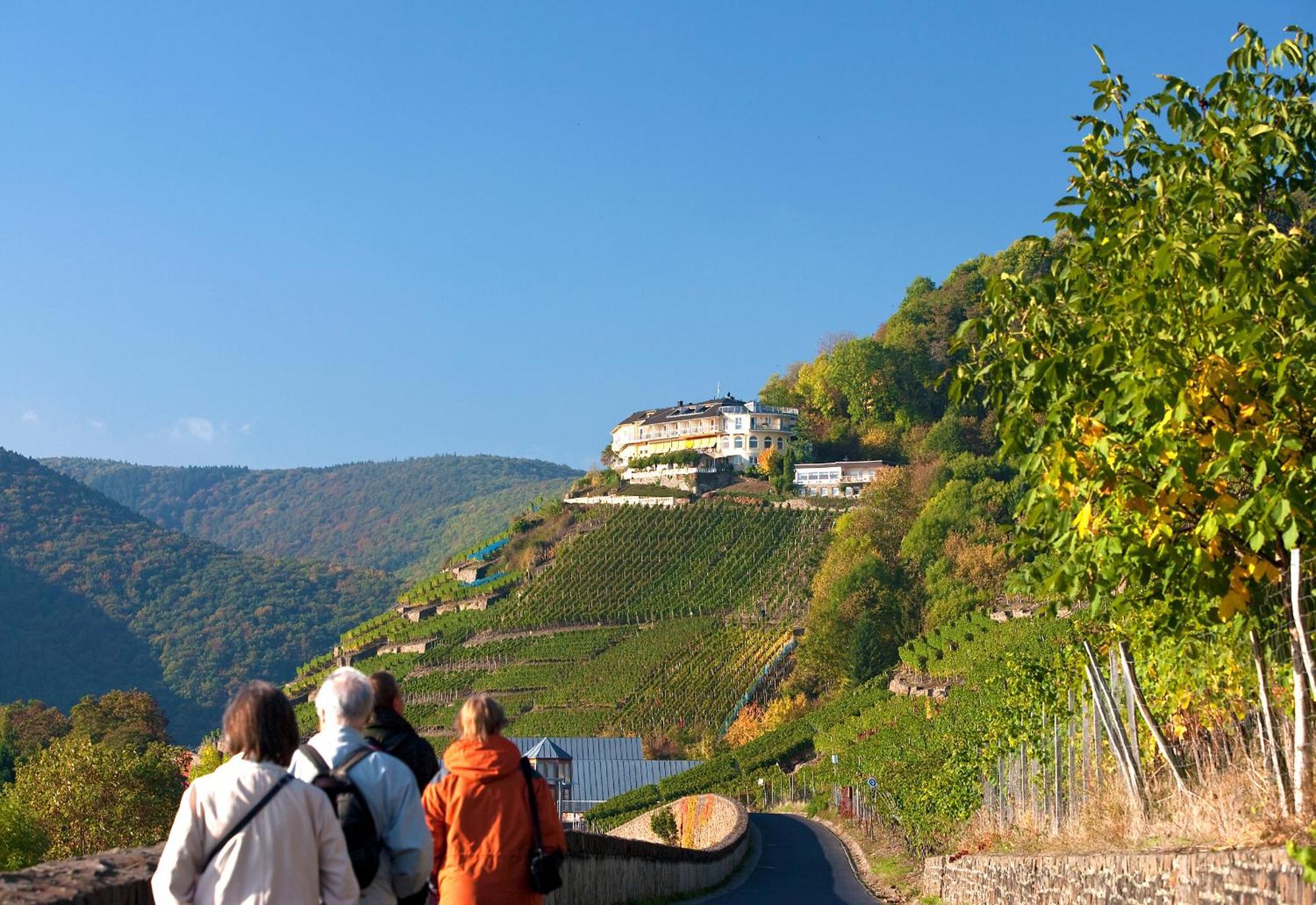 Hohenzollern Hotel Bad Neuenahr-Ahrweiler Ngoại thất bức ảnh